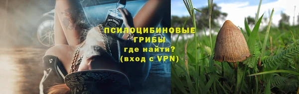 ALPHA PVP Алексин
