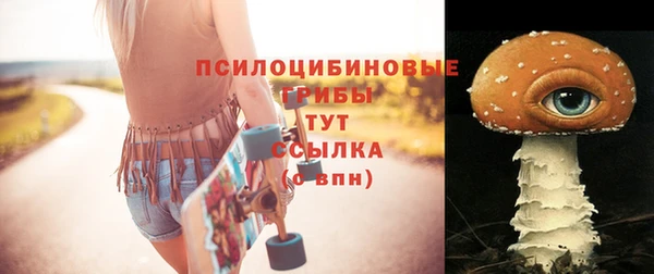 ГАЛЛЮЦИНОГЕННЫЕ ГРИБЫ Абдулино