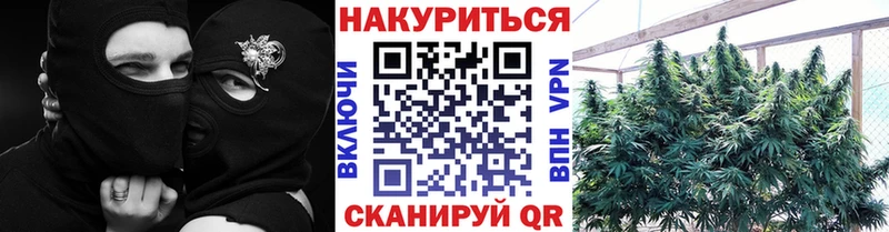 Бошки марихуана THC 21% Нальчик